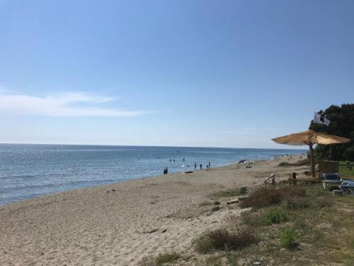 A 5 Mn A Pied De La Mer, Piscine ,Tennis, Paillote Cervione Buitenkant foto